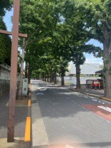 田園調布の駅前（自社撮影）