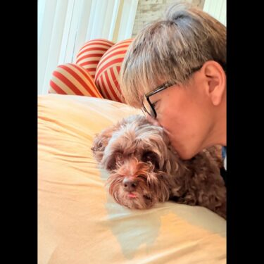 木村拓哉の自宅は中目黒の人気エリア？場所と資産価値を徹底分析